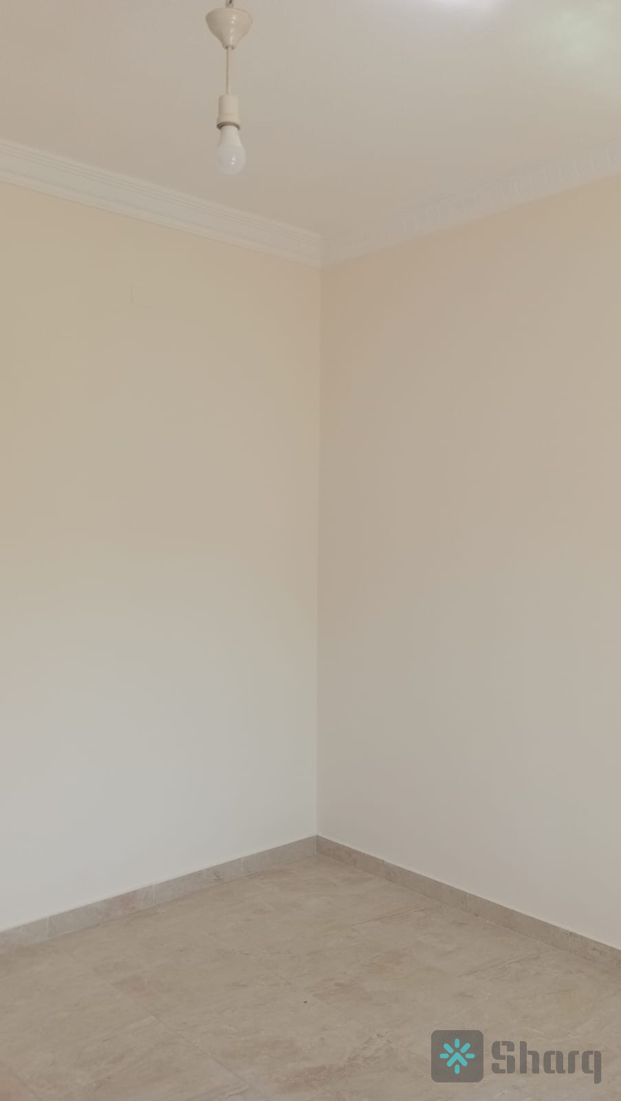 Media 4